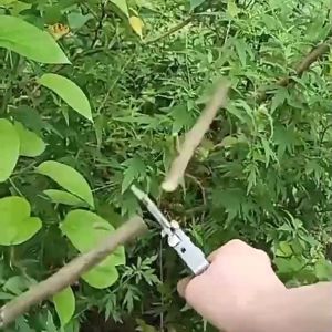 Kéo cắt cành kéo cắt tỉa cành cây siêu sắc