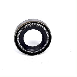 Oli Seal Sil Operan As Versneling Kawasaki GTO Binter 100 & 110