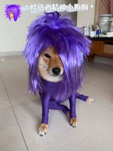 Wig Full-Head Wig Men and Women Kill Matt Punk Modeling Pet Non-Mainstream Stylish Sand Carving Funny Color Afro