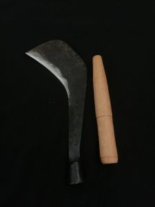 sabit rumput gaet rumput baja per cap hbn 2 variasi