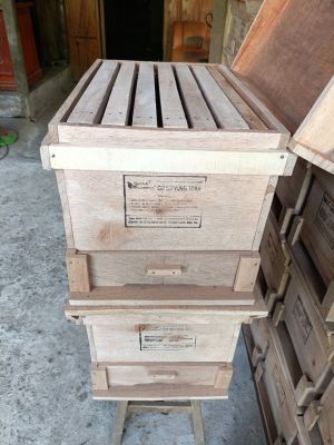 Combo thùng nuôi ong Nội 4 cầu +ván ngăn