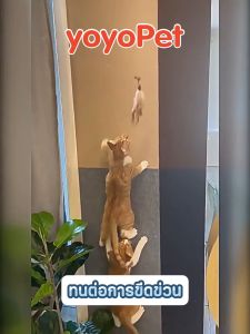 yoyopet : แผ่นแมวปีน Spider Cat กำแพงลับเล็บ แผ่นกันข่วน มีกาวในตัว ที่ลับเล็บแมว พรมลับเล็บ ที่กันแมวข่วน ถนอมโซฟา