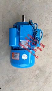Motor động cơ điện 220v 22kw(3hp) dây đồng