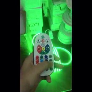 AceDeal [Support Lalamove Bulk Orders] Neon RGB Strip Light Outdoor Waterproof LED Light Strip Smart Bluetooth APP And Remote Control Change Color Music Sync High Quality Strip Light Cove Ceiling Light Home Decoration