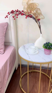 [UPC20 Muted Rose 豆沙粉] 2500TC Ice Silk Hotel Bedsheet Set 升级版贵族冰丝床单