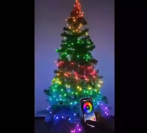 Dây Đèn Led Chạy Đuổi 7 Màu ( 10m ) Chống Nước có remote điều khiển app điện thoại