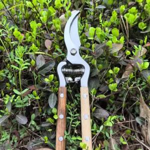 NiuXiang(NewShark) | Willow Wood Handle Pruning Shears Stainless Steel Garden Scissors Labor Saving Hand Tool for Tree Branch Flower Bonsai Trimming