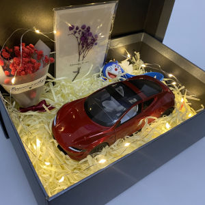 Mô Phỏng Xe Tesla