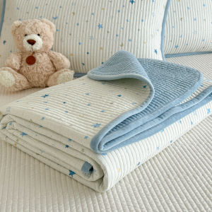 Double-Sided Pure Cotton Milk Velvet Tatami Bed Cover Three-Piece Set Autumn Winter Comforter Cover Sheet Pillowcase Set