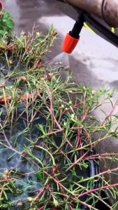 Bộ kít tưới cây cảnh - tưới lan - nhỏ giọt 10m dây + 10 béc tưới nhựa 5.0T