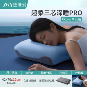 Second-Generation Memory Foam Pillow Slow Rebound Zero-Pressure Neck Support Adult Pair Hotel Whole Head Rectangular Shape