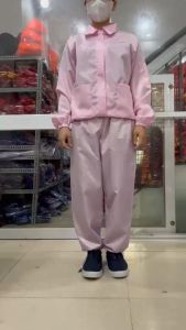 Set Bộ Chống Tĩnh Điện HỒNG | Áo thân ngắn + Quần + Nón Vải Lưới Cho Công Nhân Phòng Sạch | Hình thật