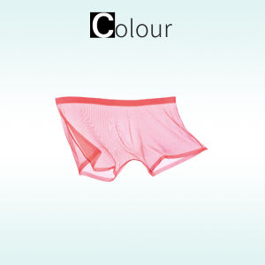 Ice Silk Low Waist Briefs Mens Underwear Breathable Transparent Thin Angle Shorts Seamless Summer Collection Youth Size