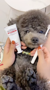 1SET)KOJIMA 360 KOJIMA PET DOG SOFT TOOTHBRUSH+TOOTHPASTE REMOVE BAD BREATH