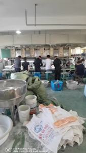 Womens White Shoes 2023 New Student Versatile Solid Color Sports Breathable Shoes Summer Womens White Board Shoes Autumn and Winter