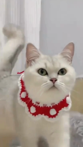 【JCFU】Cat and Dog Style Knitted Neck Collar Pet Scarf Accessory Cat Neck Collar【P002】