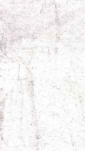 Bra Wanita Tanpa Kawat Full Cup BONPRIX Tanpa Busa Mix Hias Lace Premium Underwear BP746