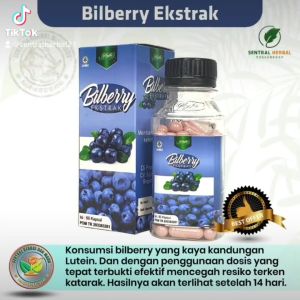 Bilberry Ekstrak Membantu Memelihara Kesehatan Mata Isi 60 Kapsul