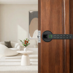 KANGTING | Fingerprint Password Smart Lock Indoor Door