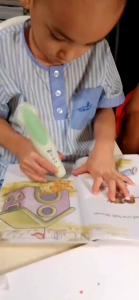 I Can Read Biscuit Phonics (29 Books+1)