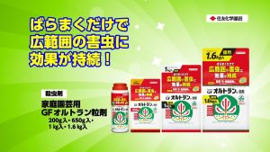 ยา Sumitomo Chemical GF ALTRAN ป้องกันและกำจัดแมลงศัตรูพืช 200g / 1kg ผลลัพธ์หลายชนิด GF โดยมีความนิยมในการฟื้นฟูและเพิ่มประสิทธิภาพในมือของผู้ใช้งาน