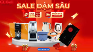 Motor Sinh Tố Công Nghiệp Gali (Bộ Chuyển Đổi Tăng Giảm) - Dùng Chung Cho Các Model Sinh Tố Công Nghiệp Gali - Bảo Hành 6 Tháng