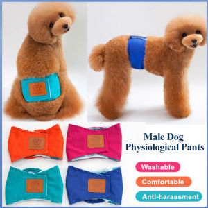 Reusable Pet Male Dog Physiological Pants Dog Nappy Pants Breathable Menstrual Pant Cotton Belly Band Shorts Pet Supplies