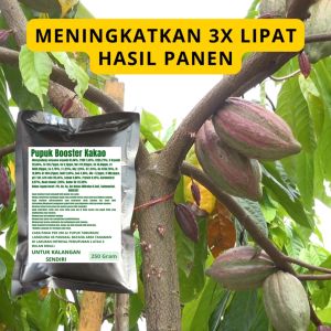 Pupuk Booster Kakao / Obat Booster Buah Kakao / Pupuk Booster Buah Kakao / Pupuk Buah Kakao
