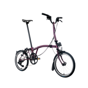 Compact Folding Bicycle 12-speed