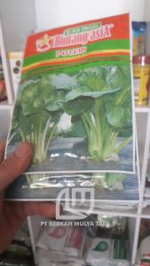 Bibit Benih Sawi Hijau Caisim Super Daun Tebal Puteri Bintang Asia 25 Gram