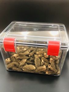 Small Size PC Food Grade Storage Box Dried Sea Cucumber Orange Peels Winter Worm Sealed Box Moisture Proof Transparent Display Box