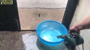 Máy Thổi Bụi Quân Đội - Điều Chỉnh 6 Cấp Độ - Công Suất 1000W