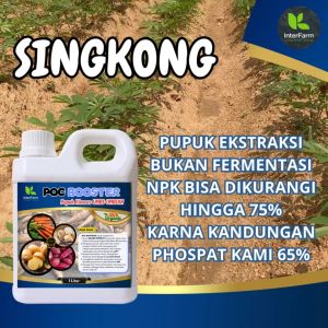 Pupuk Pelebat Umbi Singkong: Pilihan Terbaik untuk Tanaman Singkong
