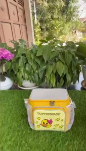 Sling Bag Farm Animal Tupperware: Penyimpanan & Aksesori Praktis