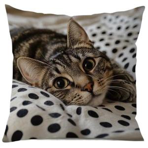 Cute Cartoon Cat Cushion Pillow Cover Simple Printed Throw Cushion Case Creative Home Sofa Decor Gift for Cat Lovers