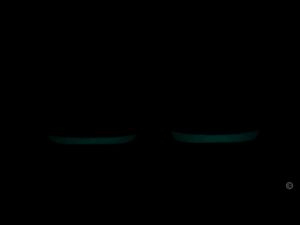 [READY STOCK] Emo Robot The Coolest AI Desktop Pet with Personality and Ideas Chat GPT