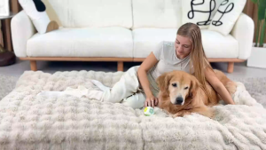 เตียงสุนัขอบอุ่นนุ่ม เตียงสงบสำหรับสุนัขแมว เตียงสุนัขสบาย เตียงนอนสบายสำหรับสัตว์เลี้ยง เตียงสุนัขผ้าไหมพังที่นุ่มสุด Fluffy Dog Cat Bed: Deluxe Plush Dog Bed with Supportive Base Comfort Pet Sleeping Mat Crate Bed with Removable Cover Different  Size