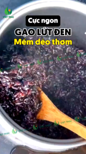 [Combo 3kg] Gạo Lứt Đen VT Organic100%Gạo Sạch Ít Calo Ko Cần Ngâm Ăn Kiêng Eat Clean Thực Dưỡng