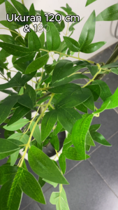 Tanaman Hias Daun Nandina Bambu Hijau Latex Premium Jumbo Artificial Pohon Hijau Plastik / CZ-6