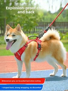 VOA | Anti-Pull Pet Harness for Medium Dogs and Puppies