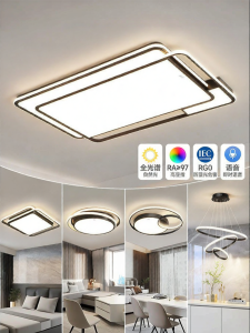 HUIPU | Minimalist Full Spectrum Ceiling Light for Living Room
