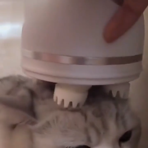 Mini Eight-prong Head Massager Multi-functional Intelligent Kneading Massage Comfort Scalp Massager