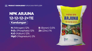 (Beli 10 Gratis Kaos) DGW - Pupuk NPK Arjuna 12-12-12-TE