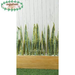 Tanaman Artificial Daun Hias Lidah Mertua Pot Planter Kayu Sekat Ruangan Partisi Ruangan Aesthetic