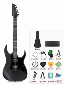 Ibanez | Entry Beginner Electric Guitar