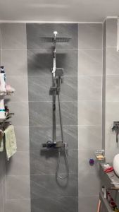 SEN TẮM CÂY NÓNG LẠNH (NHIỆT ĐỘ) GAPPO G2407-40 - TỰ ỔN ĐỊNH 38 ĐỘ KHÓA  AN TOÀN  (SẢN PHẨM NHẬP KHẨU CHÍNH HÃNG)