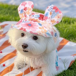 Petone dOrage | Spring Summer Pet Ears Out Adjustable Hat