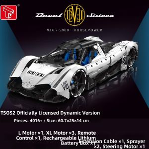 TAIGAOLE | Licensed Remote Control Assembly Model