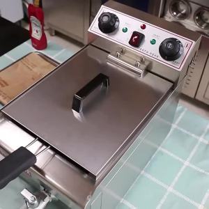 Deep Fryer Electric Electric Pot Deep Fryer Electric Fryer Environmentally Friendly Durable Energy Saving and Power Saving