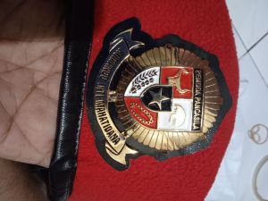 baret pemuda pancasila dan emblem terbaru